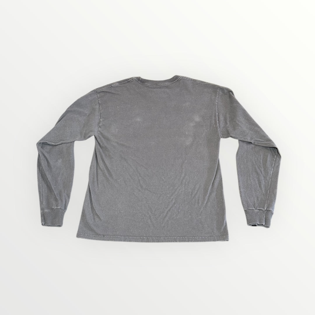 Vintage Champion Bridgewater State University Long Sleeve