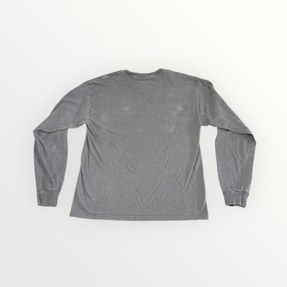 Vintage Champion Bridgewater State University Long Sleeve
